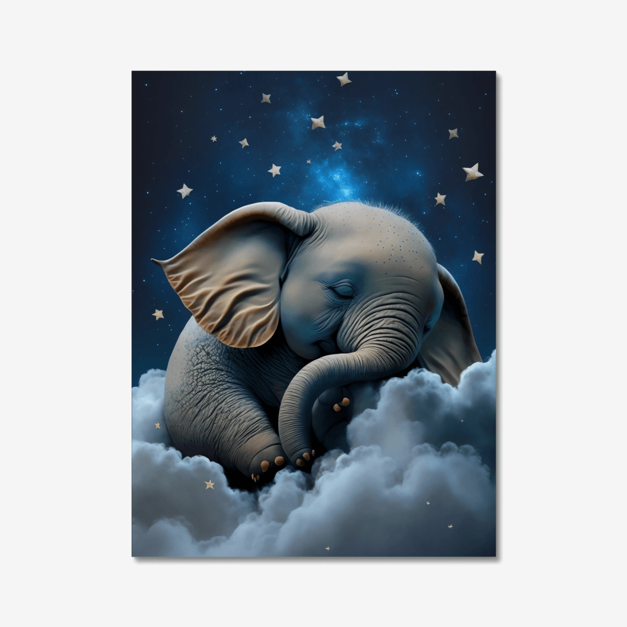 Sweat dreams elephent