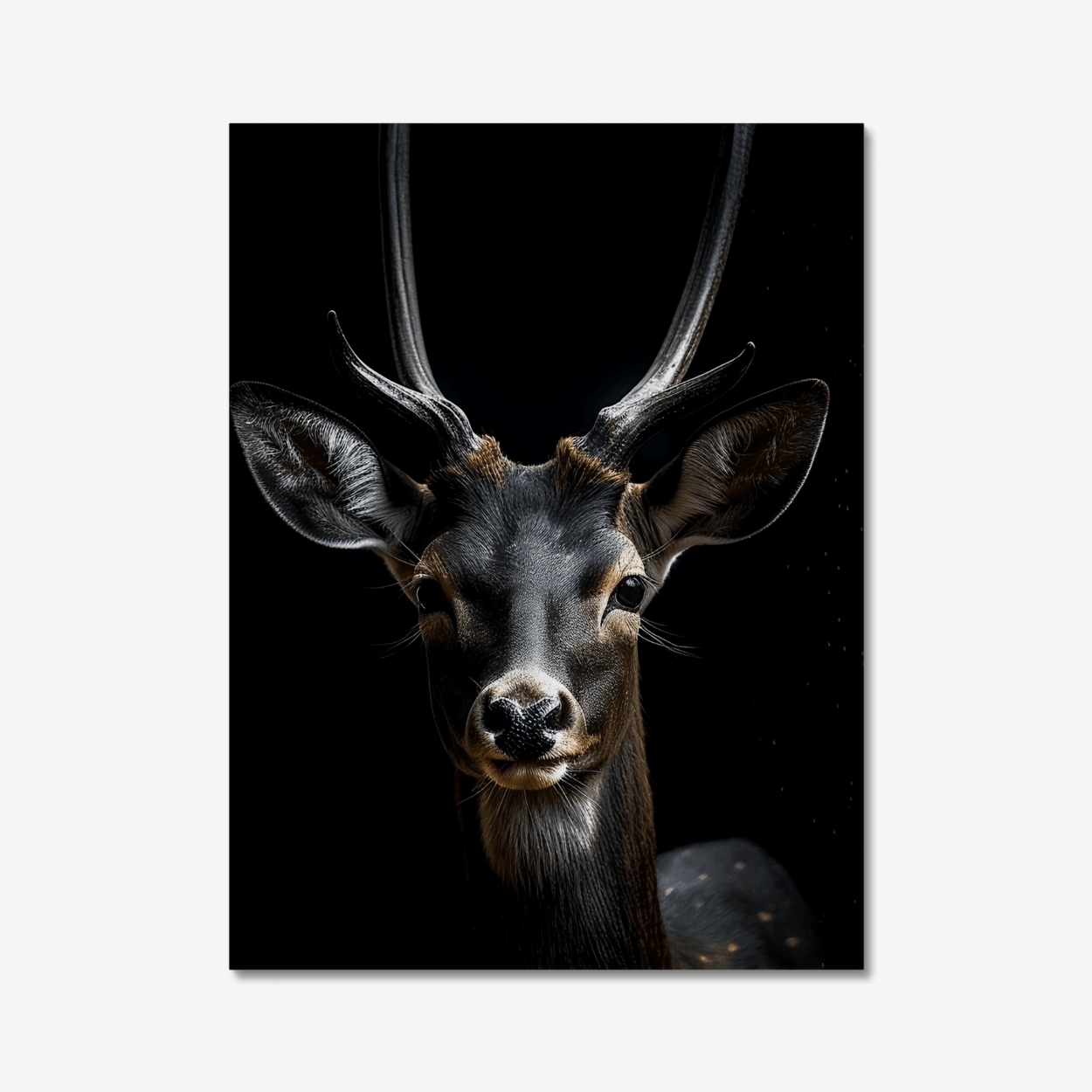 Deer in Dark