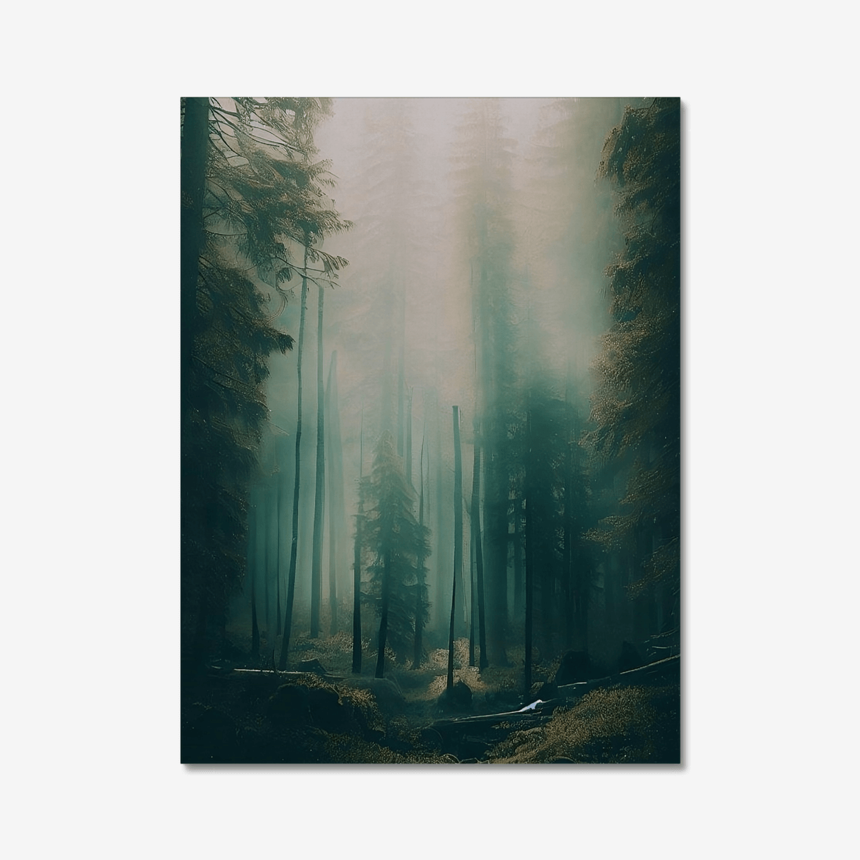 Forest Feeling 2