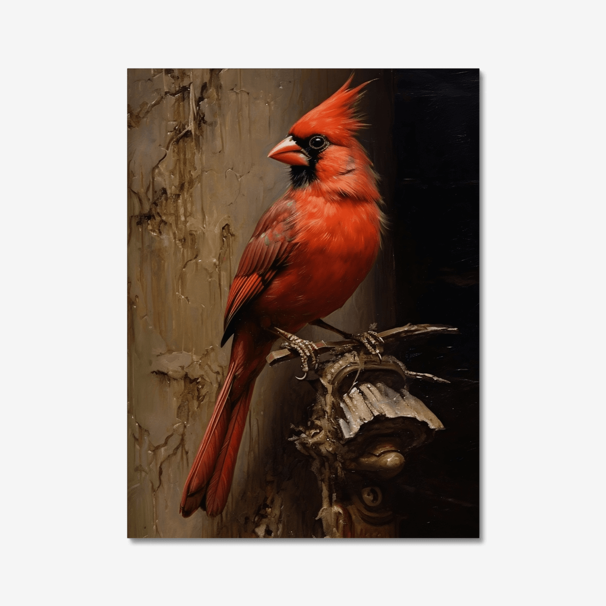 Save Cardinal