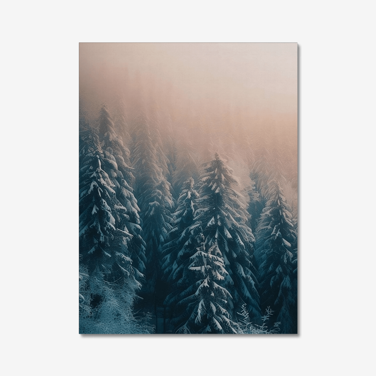 Snowy trees