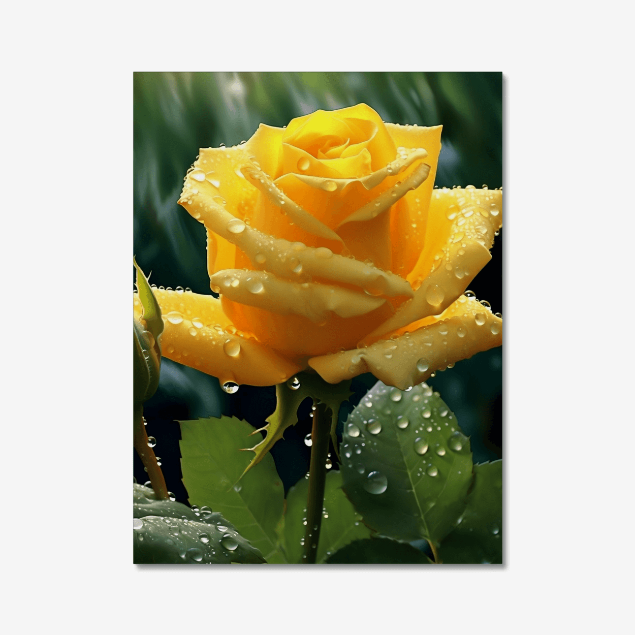 Yellow Rose