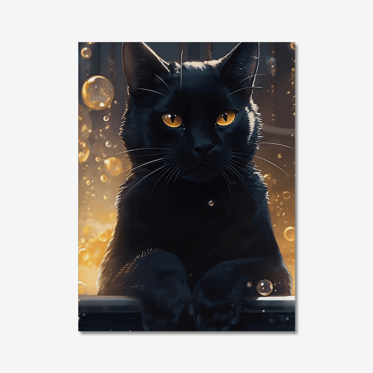 Black cat