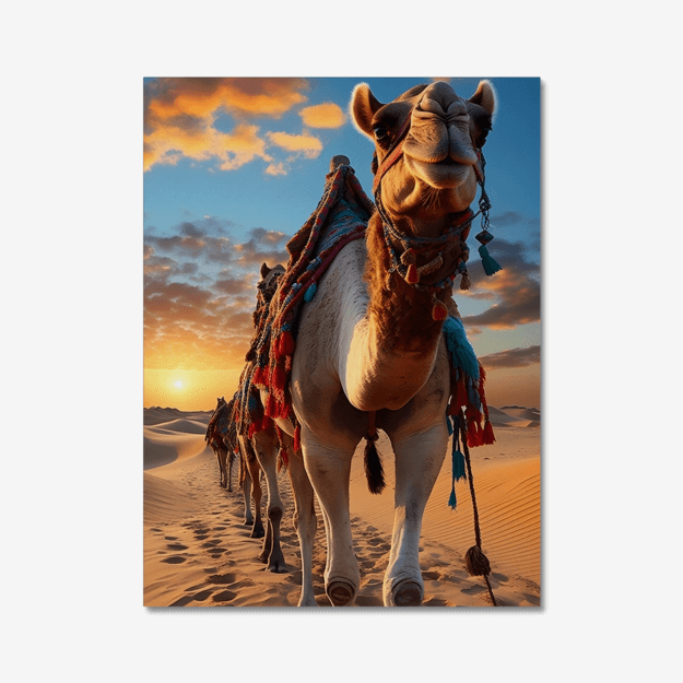 Camel in the dessert